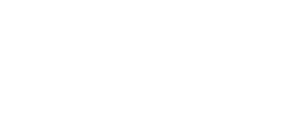 /siteart/case.png
